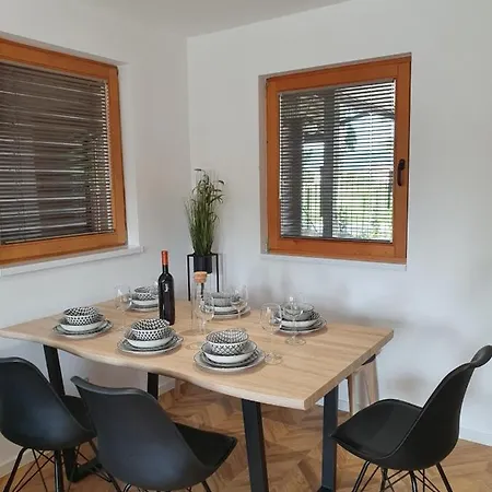 Vikendica River Ljubljanica Ljubljana