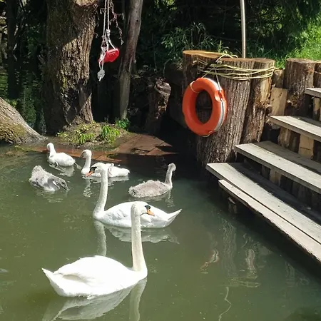 Prázdninový dům River Ljubljanica Lublaň
