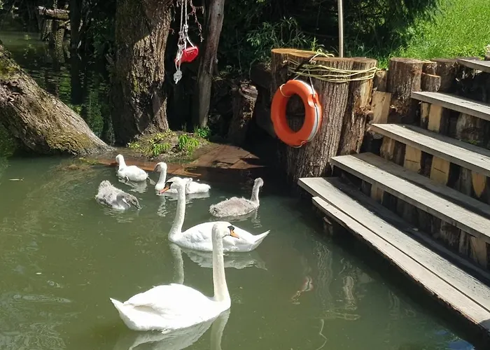 Hébergement de vacances River Ljubljanica Ljubljana